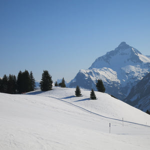Ski Resorts, Gerlos Klostertal Priel Tauplitz Filzmoos